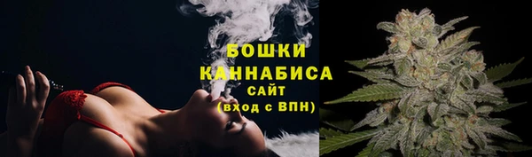прущие грибы Абдулино