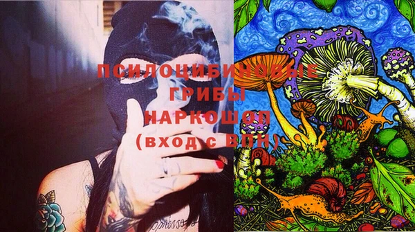 амф Абаза