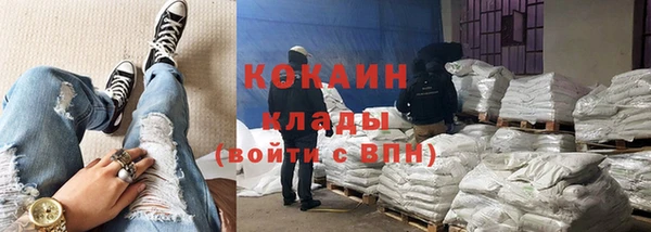 прущие грибы Абдулино