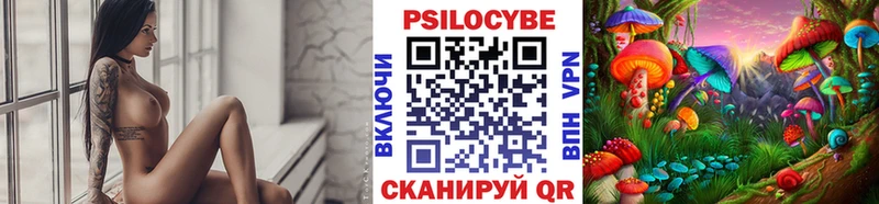 Псилоцибиновые грибы прущие грибы mega как войти Нахабино наркотики